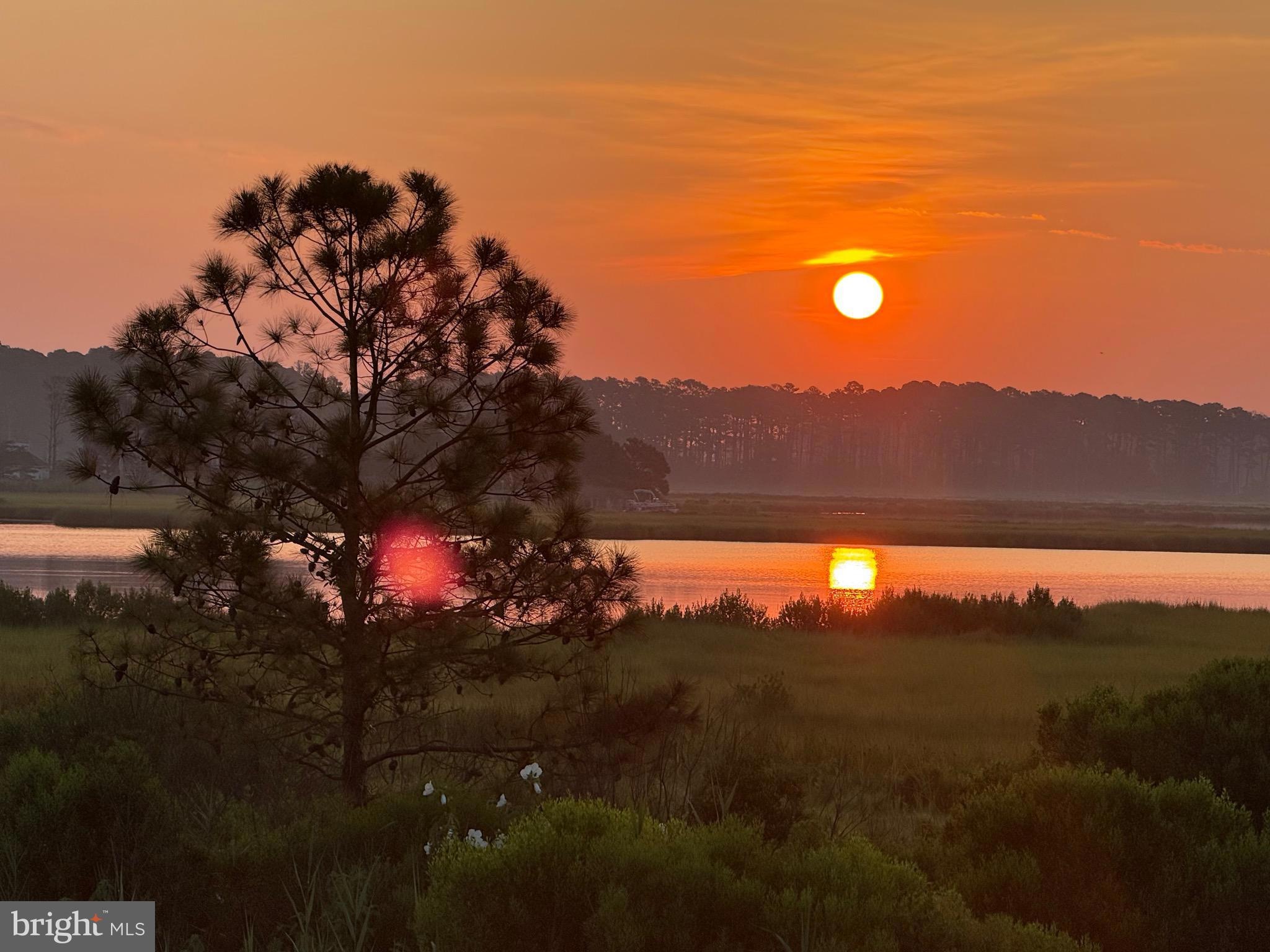 Sunsets
