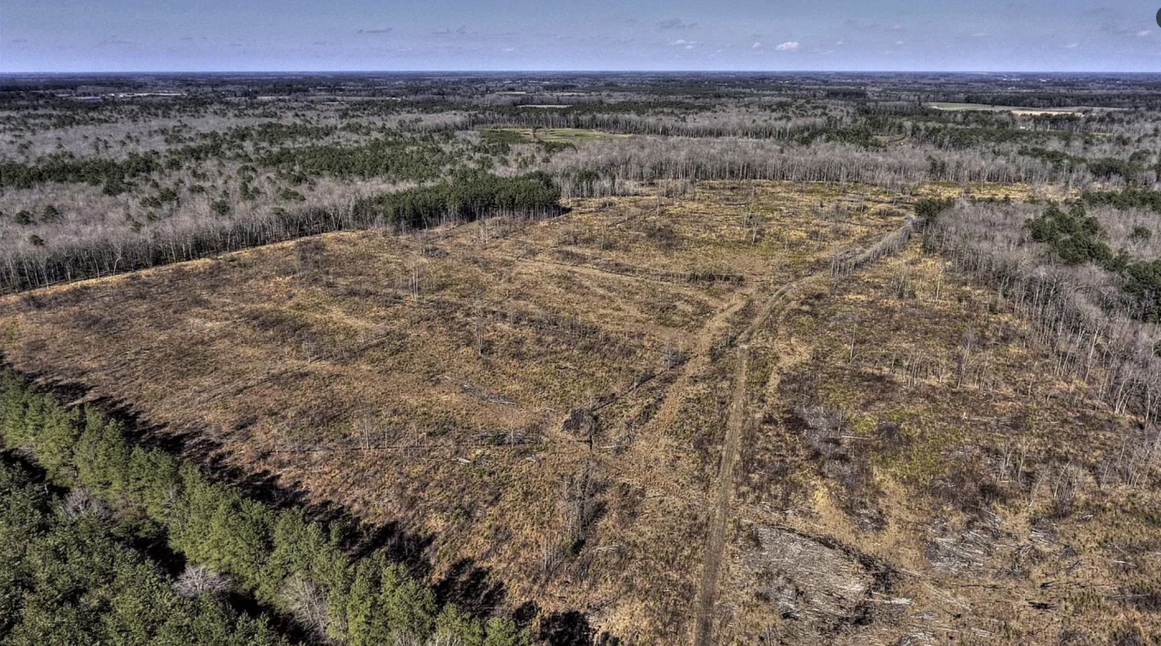 Various timber stands and conservation easements